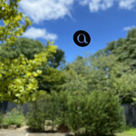 アコルドゥ - アコルドゥの『a』