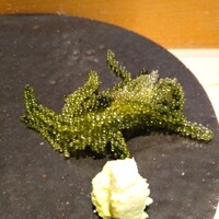 代官山 鮨 たけうち - 