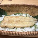 Ushou Yama Yaze Mbee - 塩焼鰻丼