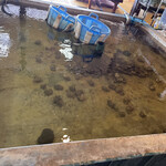 長浜荘 魚道場 - 