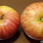 家系総本山 ラーメン 吉村家 - お土産