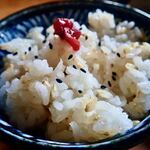 山の喫茶店 Decoy - ●金のいぶき入りごはん　3杯いただいたミャ