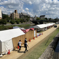 東山望 TAMANOHIKARI - 