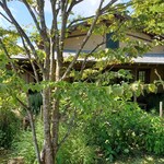 そば処　古庵 - 