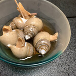 鮨よし - 煮たばい貝、これも単品でたのんだ