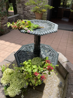 Brasserie Nakagawa - Fountain