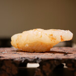 島津 - ◇ボタンエビ（北海道 増毛）
      ねっとりと冷たさに際立つ身の甘み。シャリの酸味と馴染むほどに膨らむ旨み！