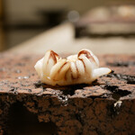 島津 - ◇新イカ ゲソ（鹿児島 出水）
      炙られた香りに負けないほど生姜が心地よく食感に響く美味しさ。