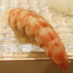 寿司 赤酢 - 熊本産 車海老