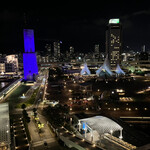 VIEW BAR（神戸メリケンパークオリエンタルホテル） - 