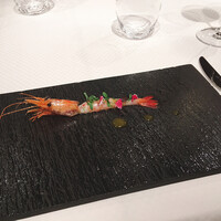 ジョンティ アッシュ - 