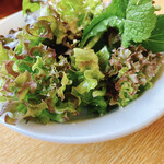 Kafedaininguofu - ランチセットのサラダ