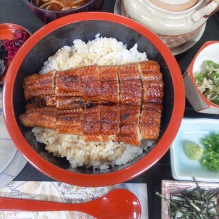 Edo grilled eel hitsumabushi