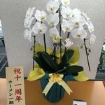 中華ソバ 伊吹 - 