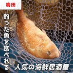 海鮮酒場 うおぷく - 