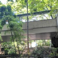 麓屋 京王プラザホテル - 