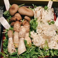 シャングリラズシークレット 北新地店 - 