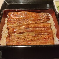 うなぎ 目白ぞろ芽 - 