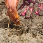 炭劇場 徳永座 - 