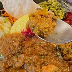HOXTON CURRY - 