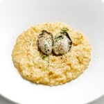 Oyster and sea urchin cream risotto