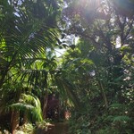 Yakushima Furutsu Gaden - 