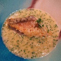 セルサルサーレ - 