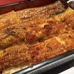 Unagi Jin - 