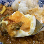 ヌードル＆スパイスカレー 今日の1番 - 