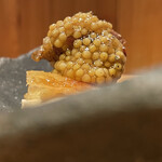 根津 焼鳥 照隅 - 腿と粒マスタード