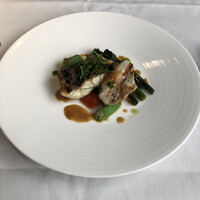 エルルカン・ビス - 