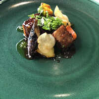 エルルカン・ビス - 