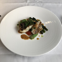 エルルカン・ビス - 