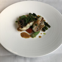 エルルカン・ビス - 