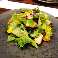 洋食 ヨコオ - 