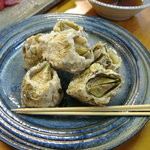 磯じま - 090707 フジツボ