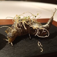 レストラン ラリューム - 