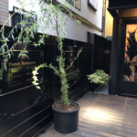 キュルティベ - 