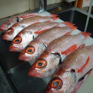 毎日仕入れる、鮮魚