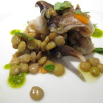 リストランテ ネグラマーロ - 三河産とり貝とレンズ豆のサラダ 