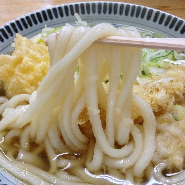 麺処どなん 宮崎 うどん 食べログ 麺処どなん 宮崎 うどん 食べログ