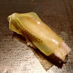 渋谷 鮨 まつもと - 小鰭　甘く煮た昆布載せ