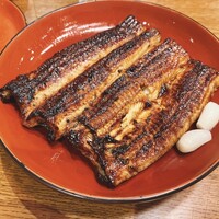 吉寅 - 鰻
