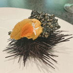 イチリン ハナレ - 雲丹アップ