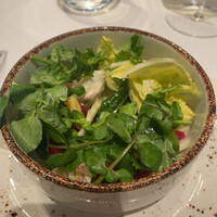 l'intemporel - 
