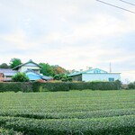 マルヒ製茶 - 茶畑とお店ｗ