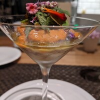 ARMONICO - 