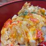 Mizudaki Manjirou - 鶏そぼろの上に親子丼の具を移し