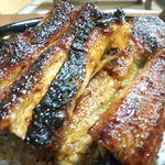 イチビキ - うなぎ　迫力のどアップ！