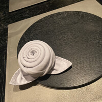 VELROSIER - 